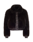 Claira Jacket