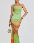 Isadore Mesh Dress