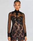 Faylin Lace Dress