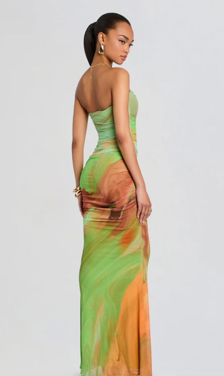 Isadore Mesh Dress