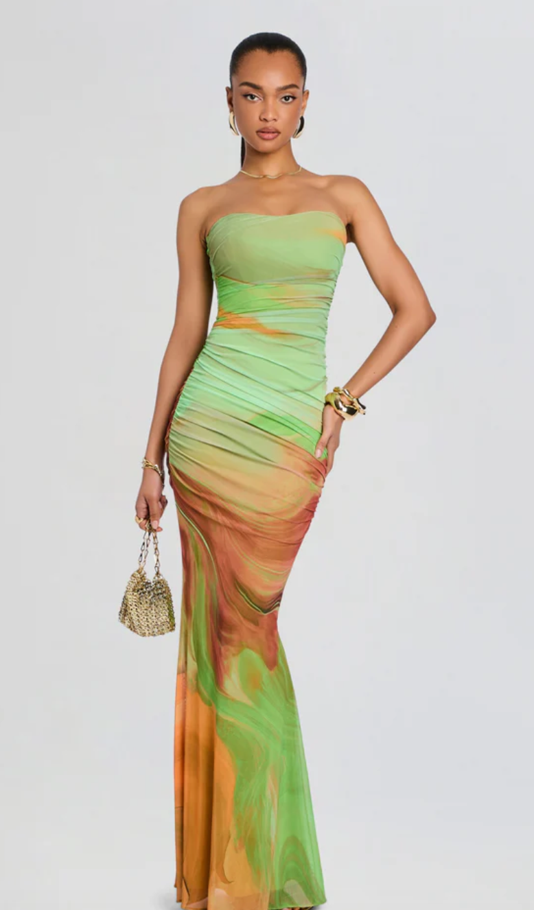 Isadore Mesh Dress